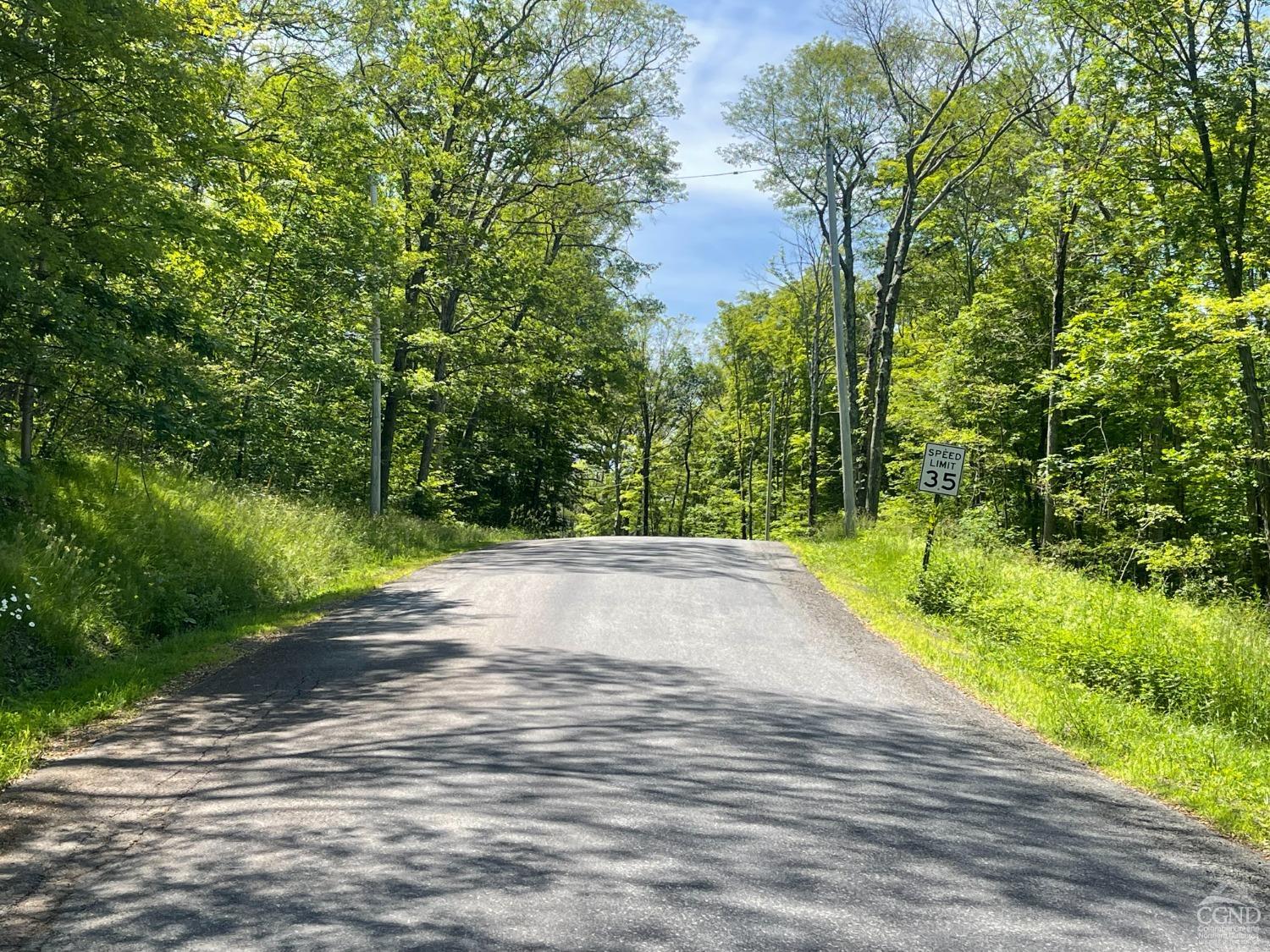 a view of a street view with large trees