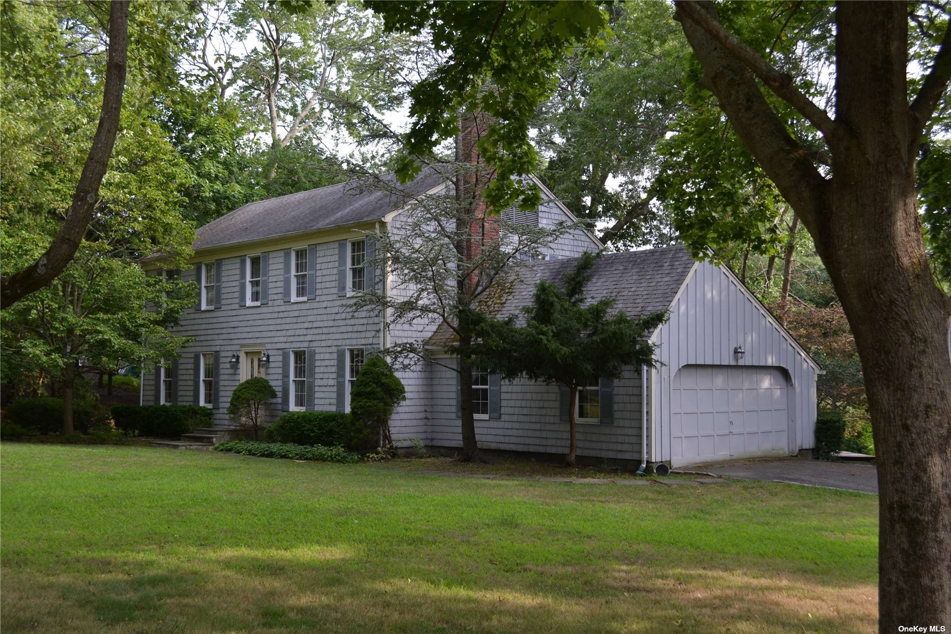 a backyard of a house with plants and large tree