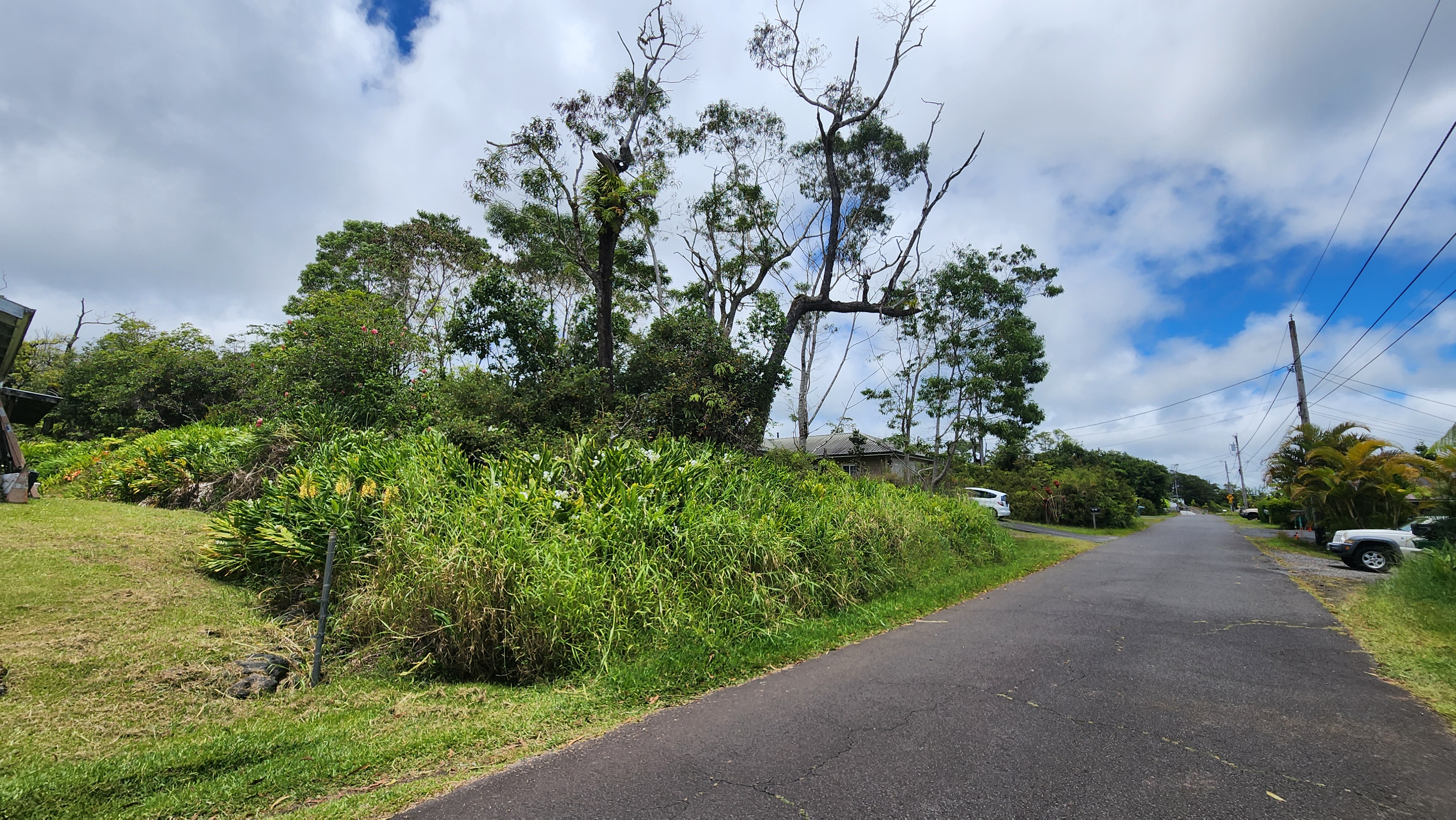 a view of a garden