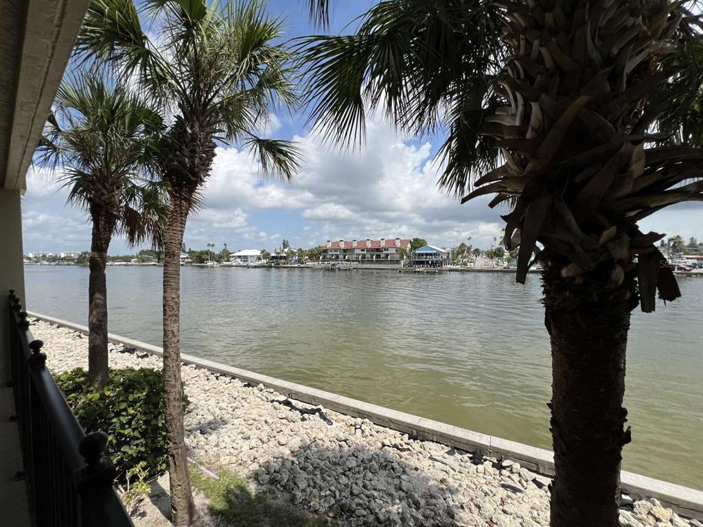 a view of a lake with a tree