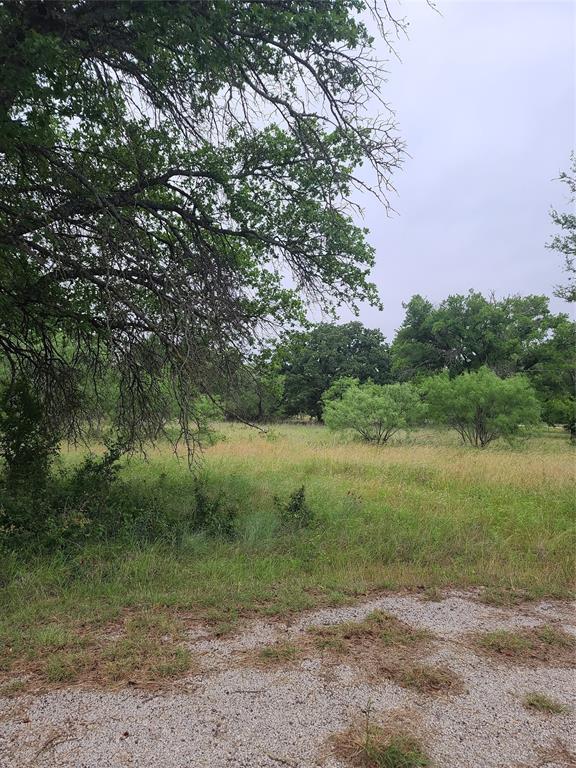 a view of a yard with a tree