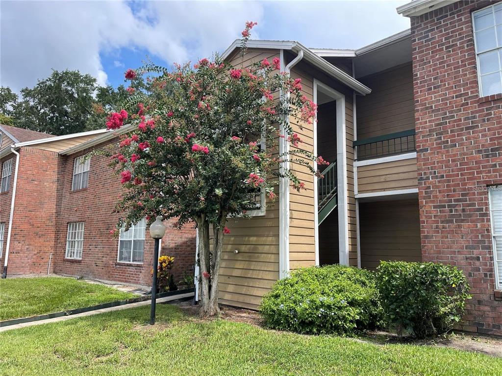 a plant that is on the side of a house