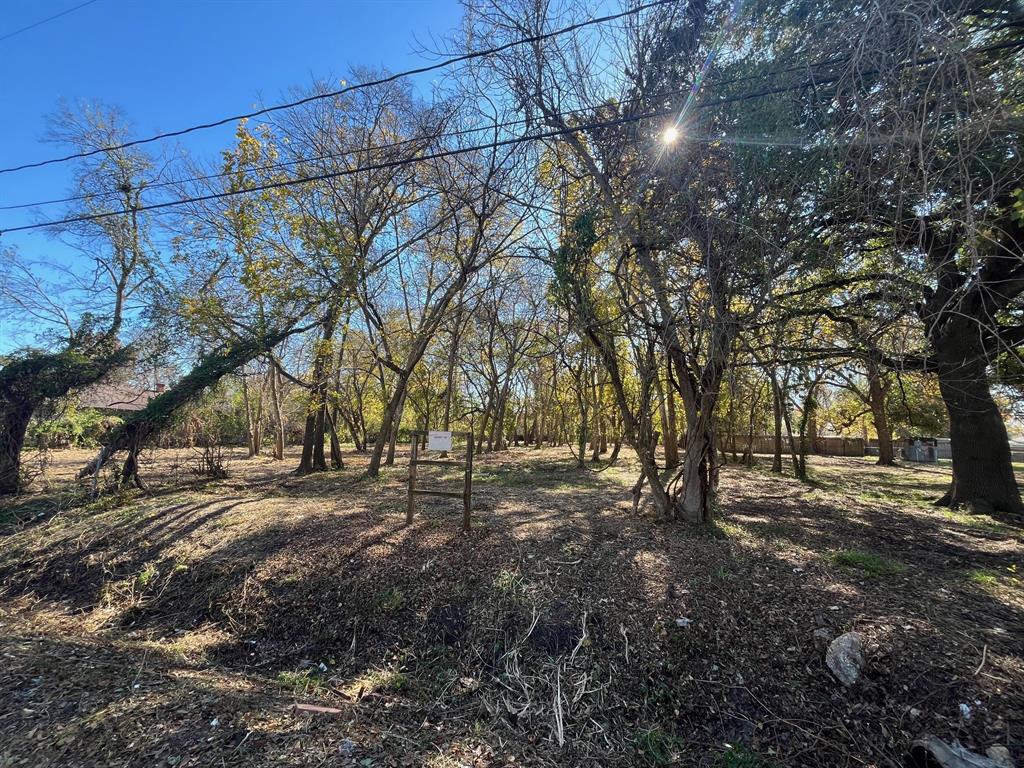 a view of a yard with a tree