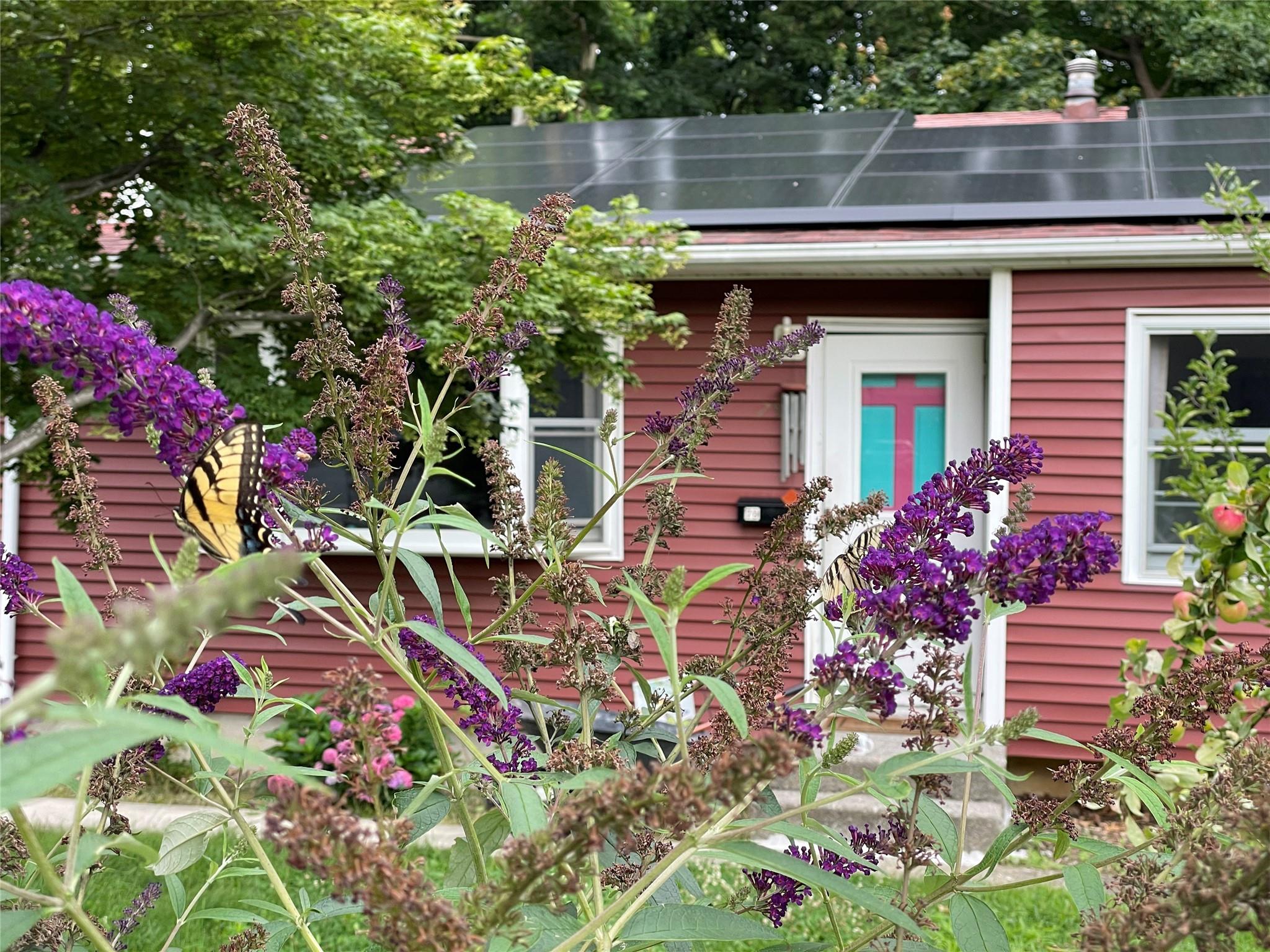 Doorway to property with solar panels