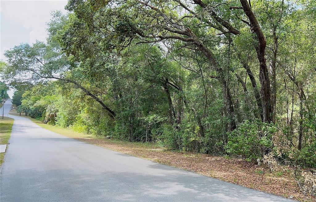 a view of a road with a trees in the background