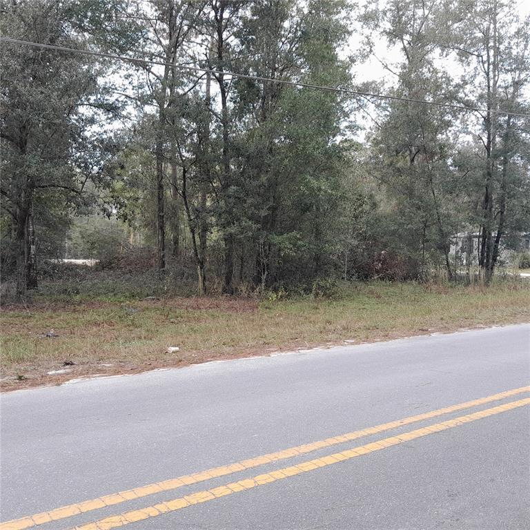 a view of a yard with a tree