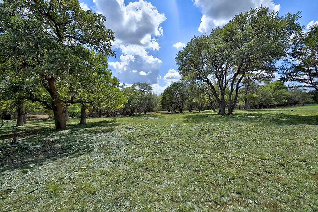 a view of a grassy field with trees