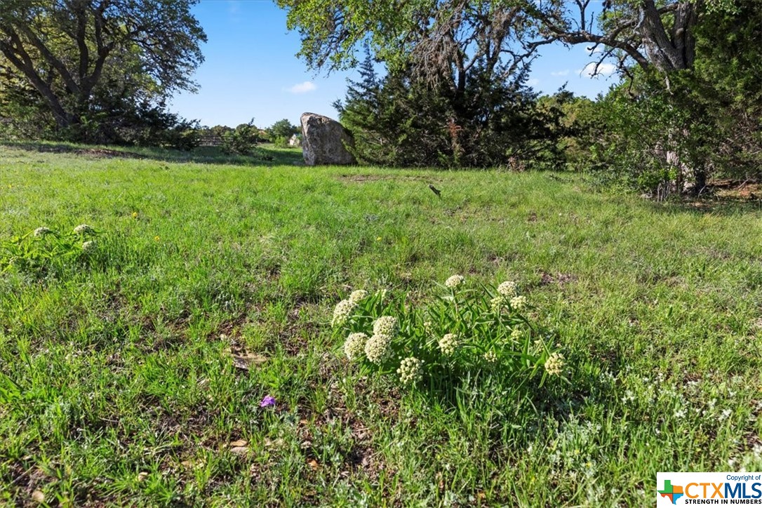 a view of yard with green space