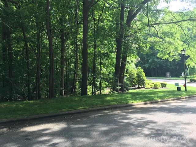 a view of a park with large trees