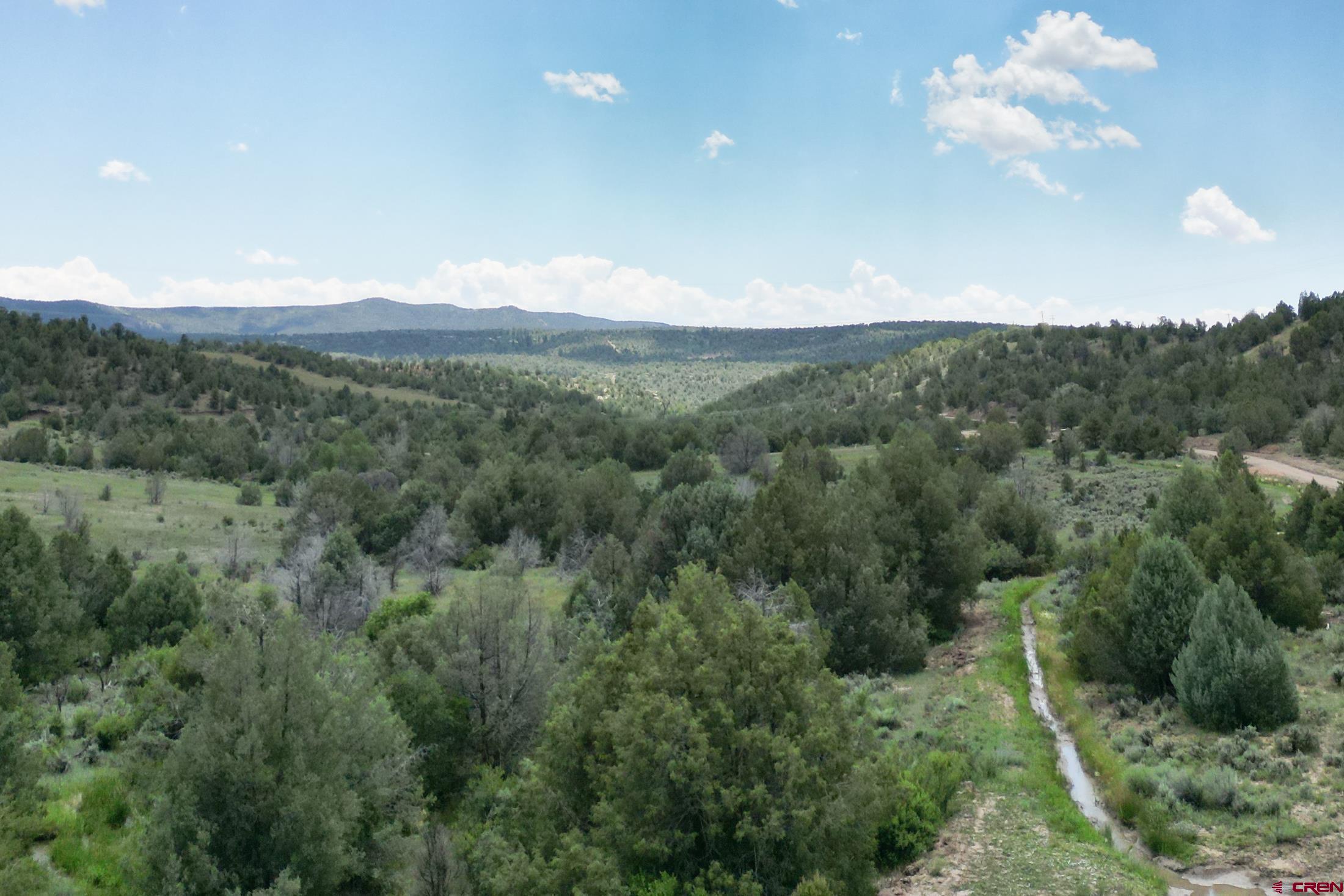 a view of a city with lush green forest