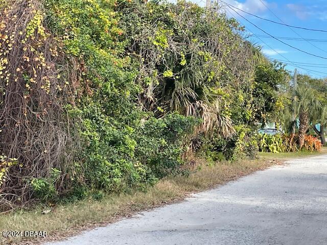 a view of a road with plants