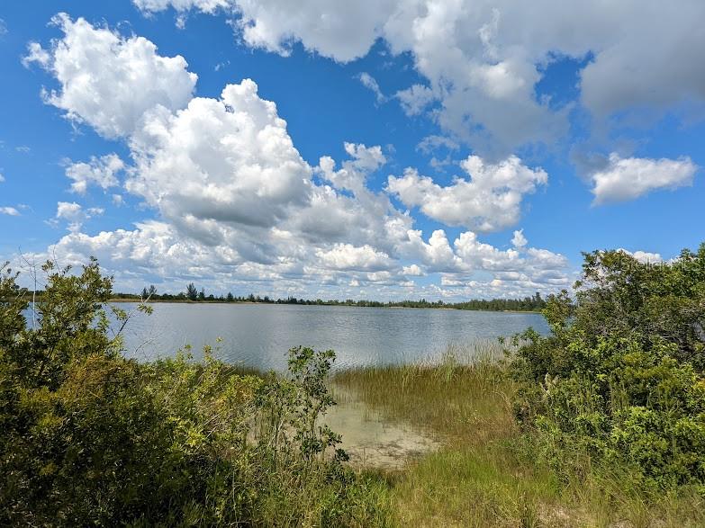 a view of a lake