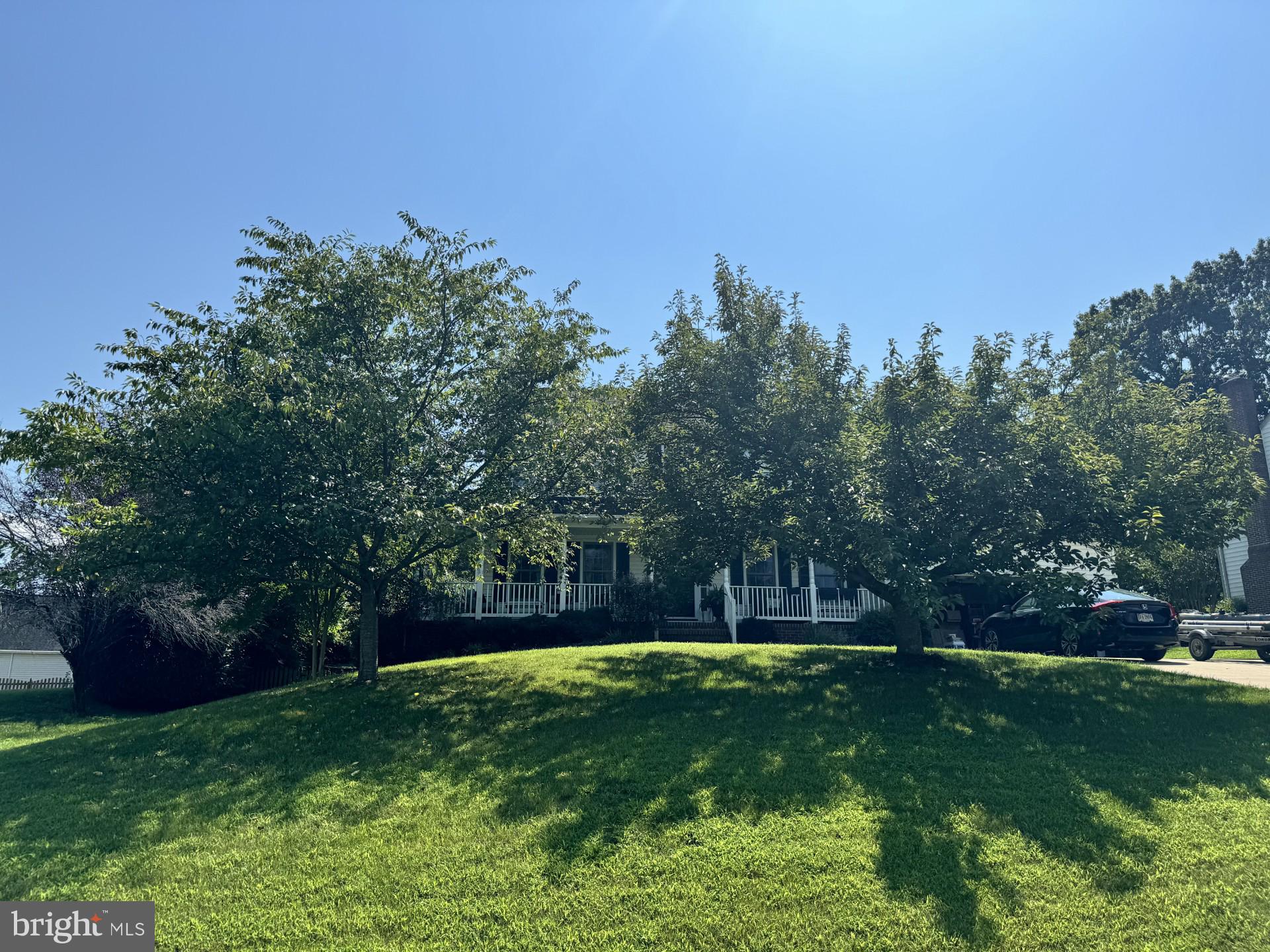 a view of a yard with a trees