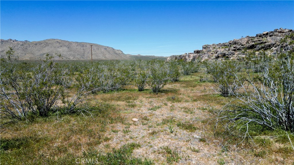 a view of a large mountain with trees in the background