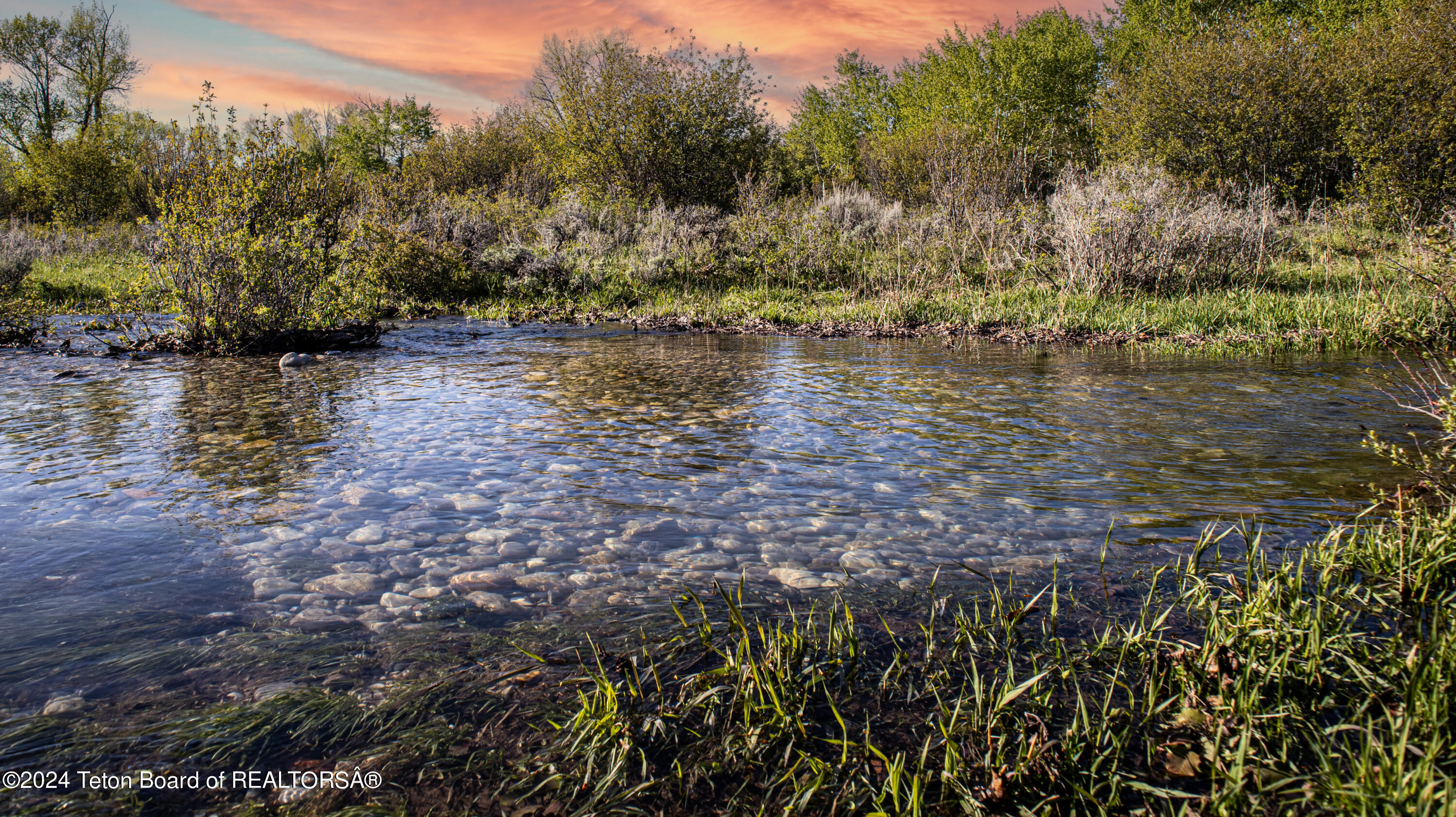 Darby Close up. Creek2