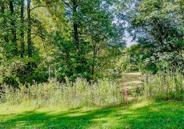 a view of yard with green space