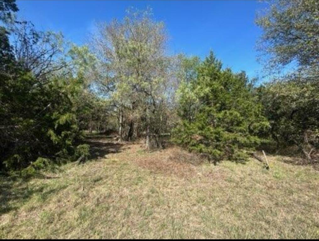 a view of a yard with trees