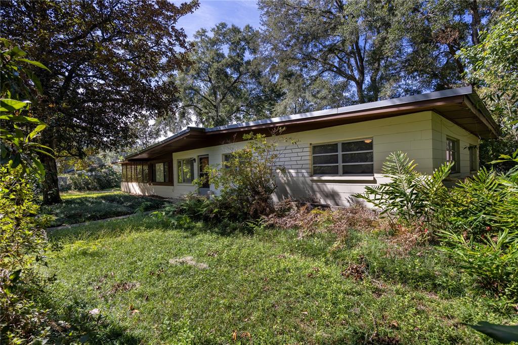 a backyard of a house with plants and large tree