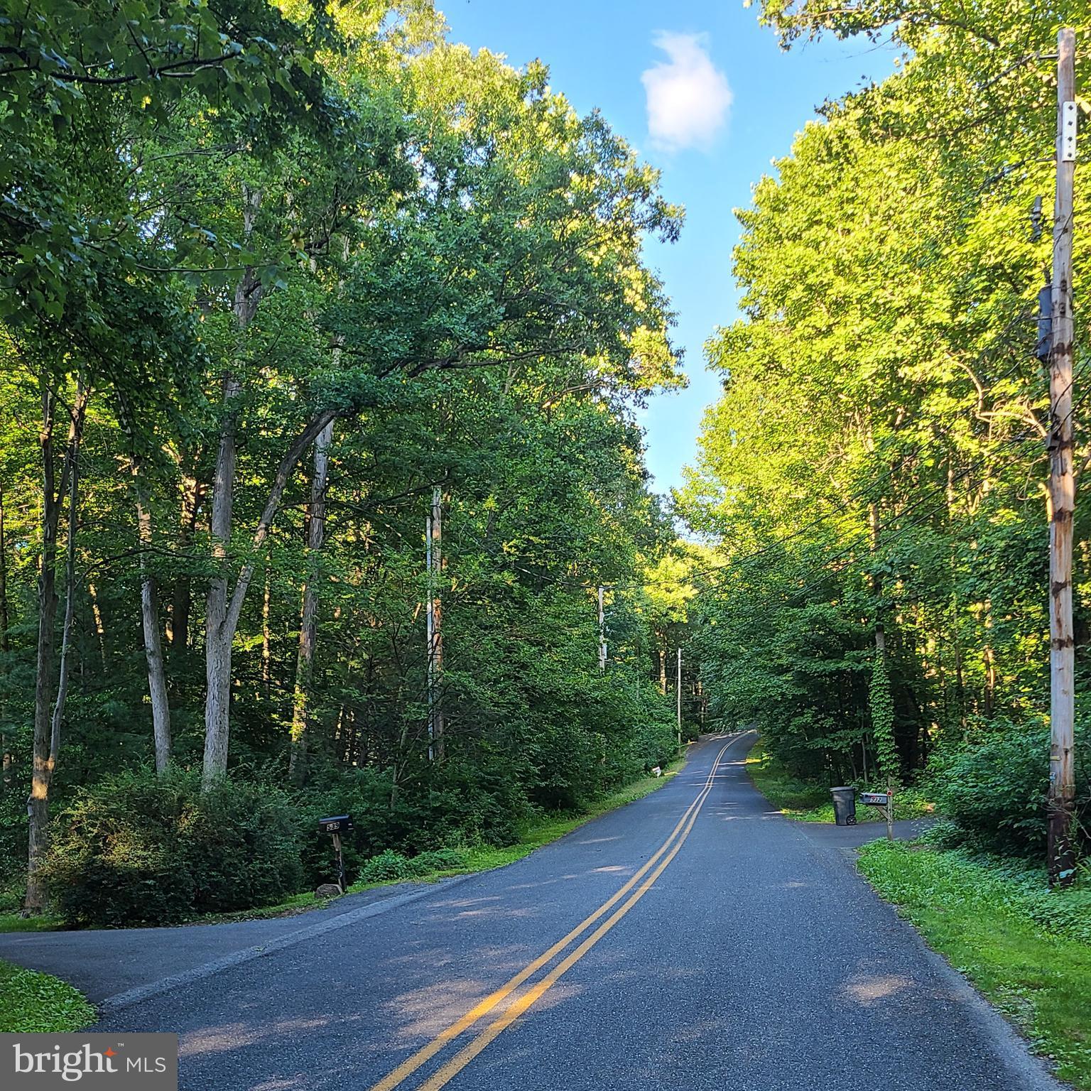 a view of a road with a yard