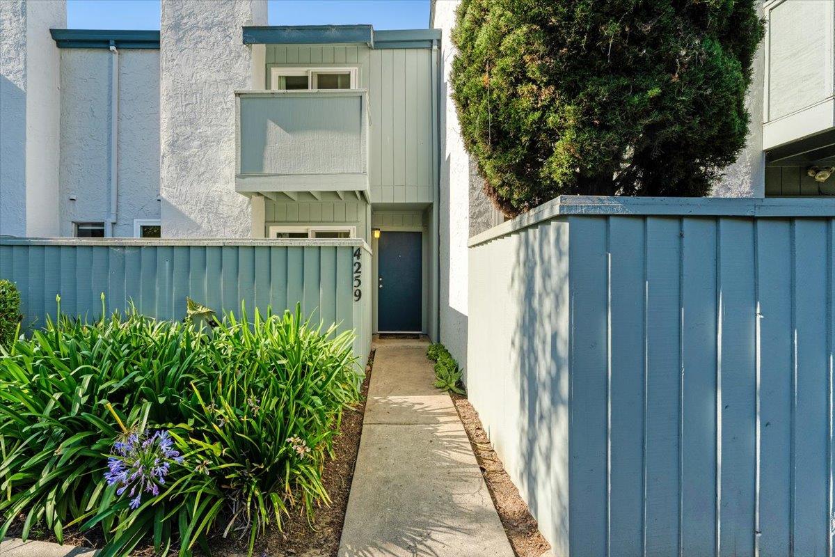 a view of a pathway of a house with a yard and plants