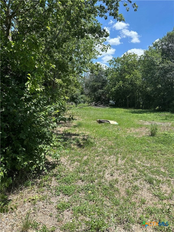 a view of outdoor space and yard