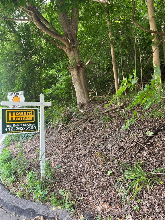 a sign that is sitting in the forest