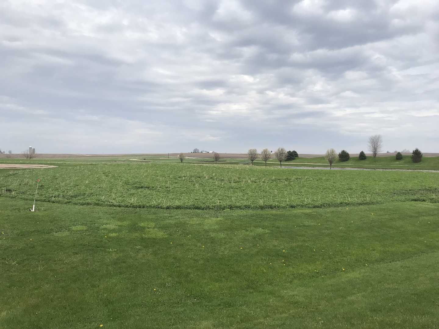 a view of a field with an ocean and trees