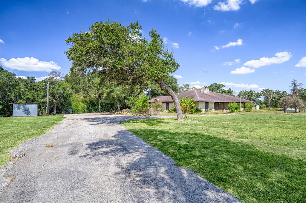 a front view of a house with yard and green space