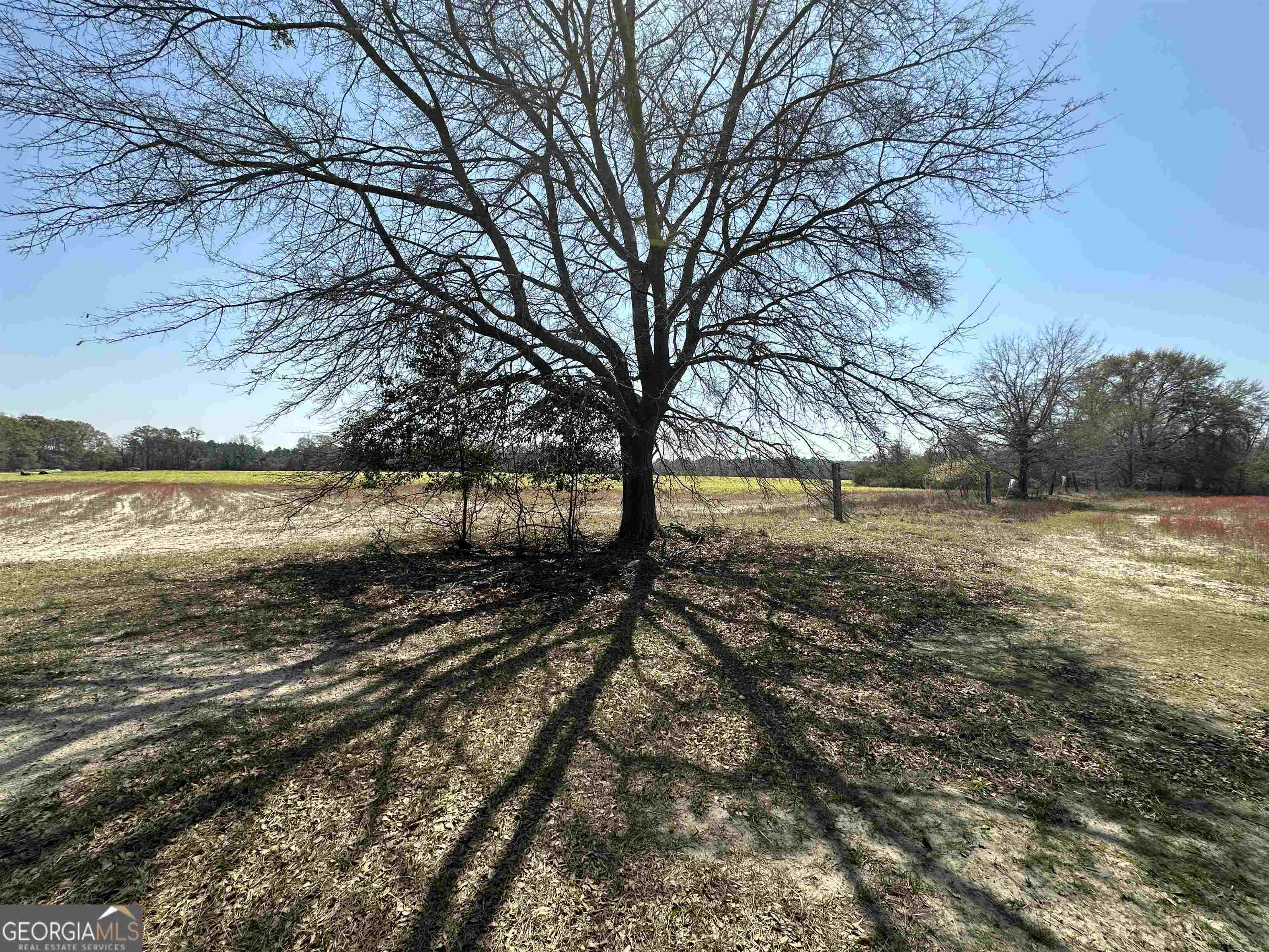 a view of yard with trees