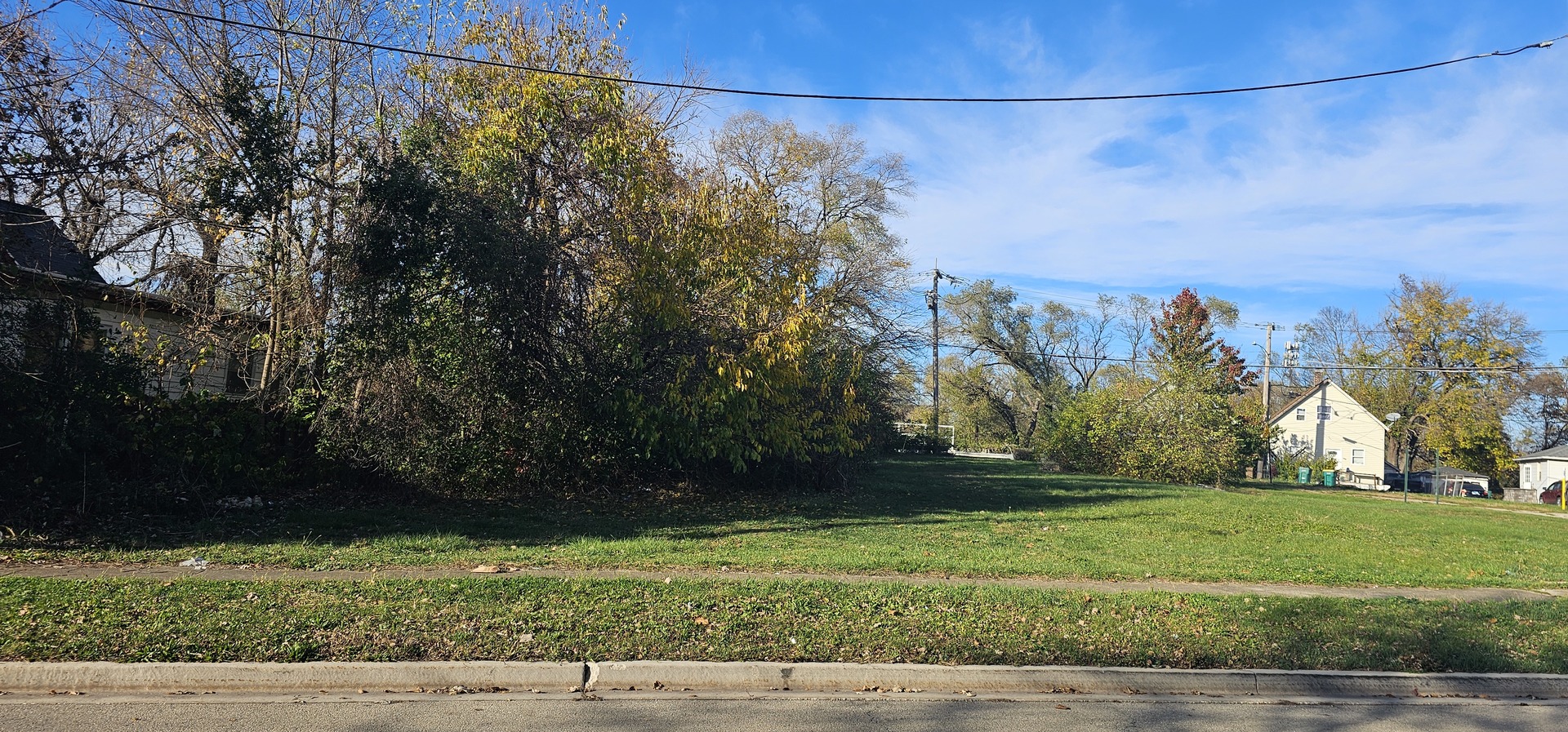 a view of a yard