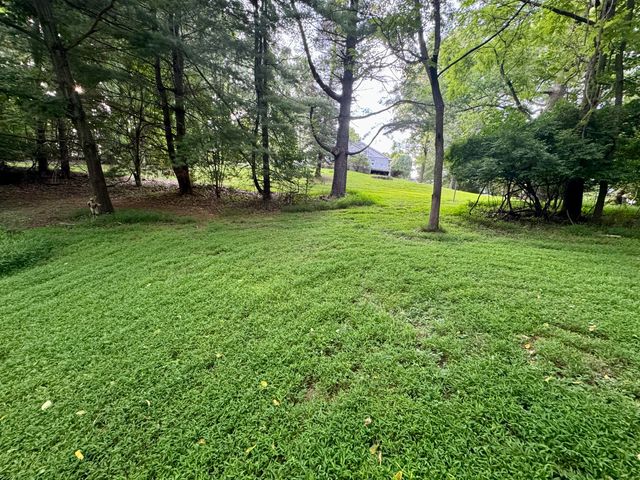 $26,500 | Tbd Beth Scott Drive | Pulaski