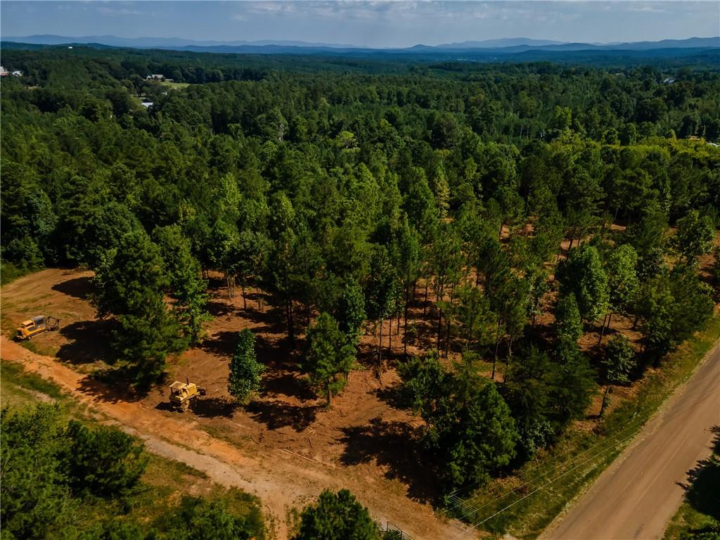 a view of a lush green forest with lots of trees