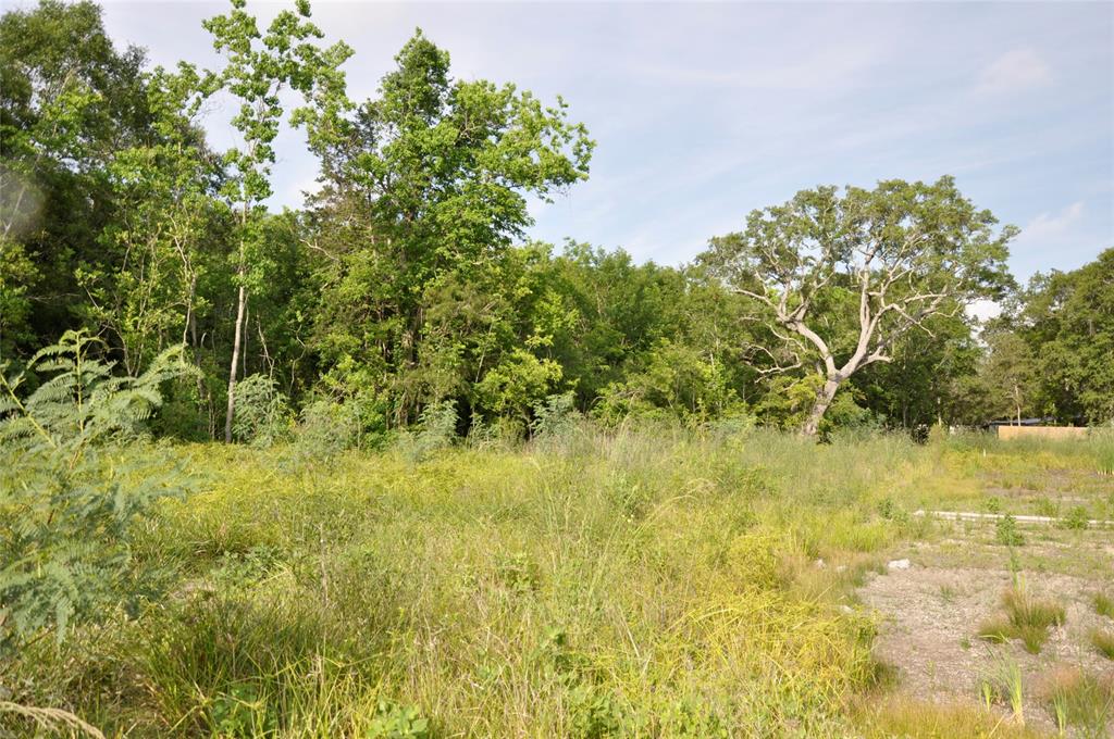 a view of a yard