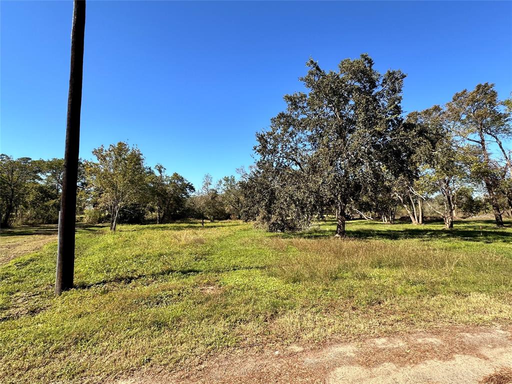 a view of a yard with a tree