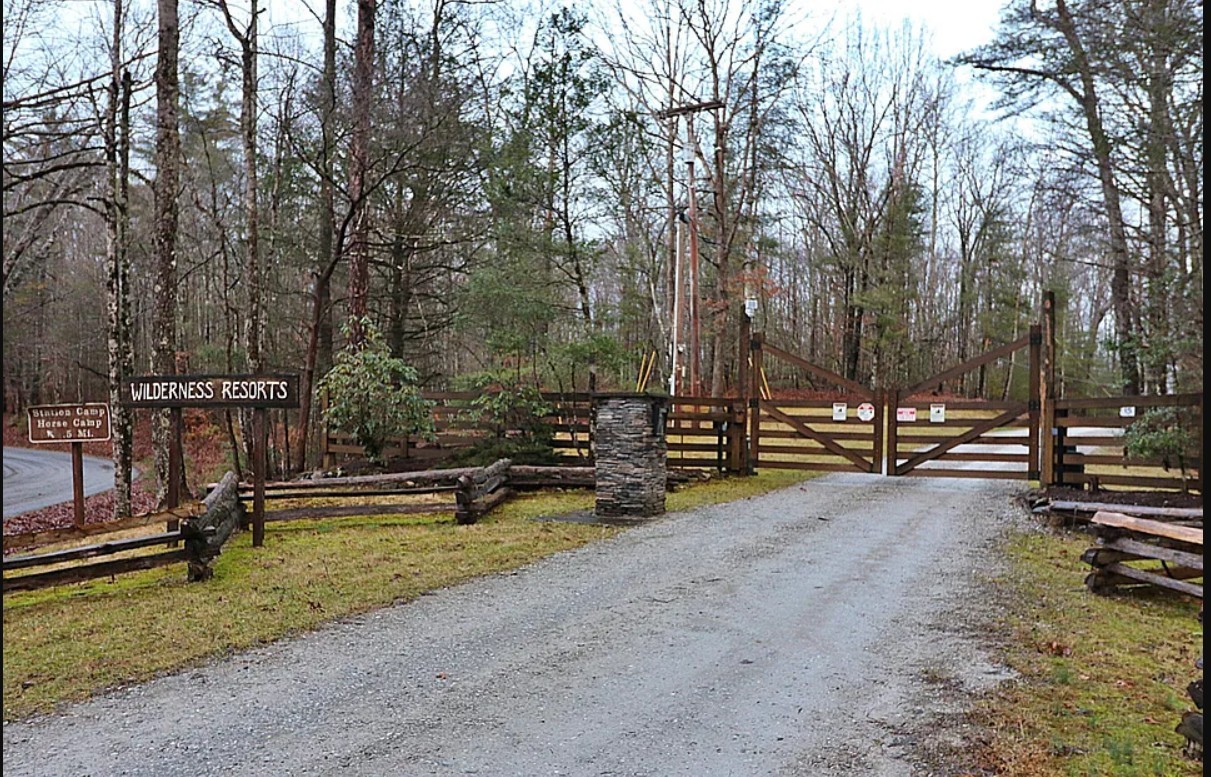 a view of a park with large trees