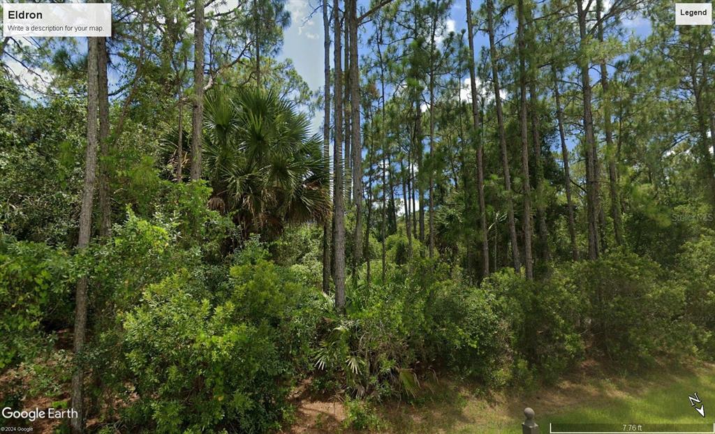 a view of a lush green forest with lots of trees