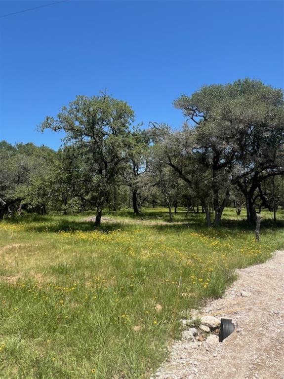 a view of a yard with a tree