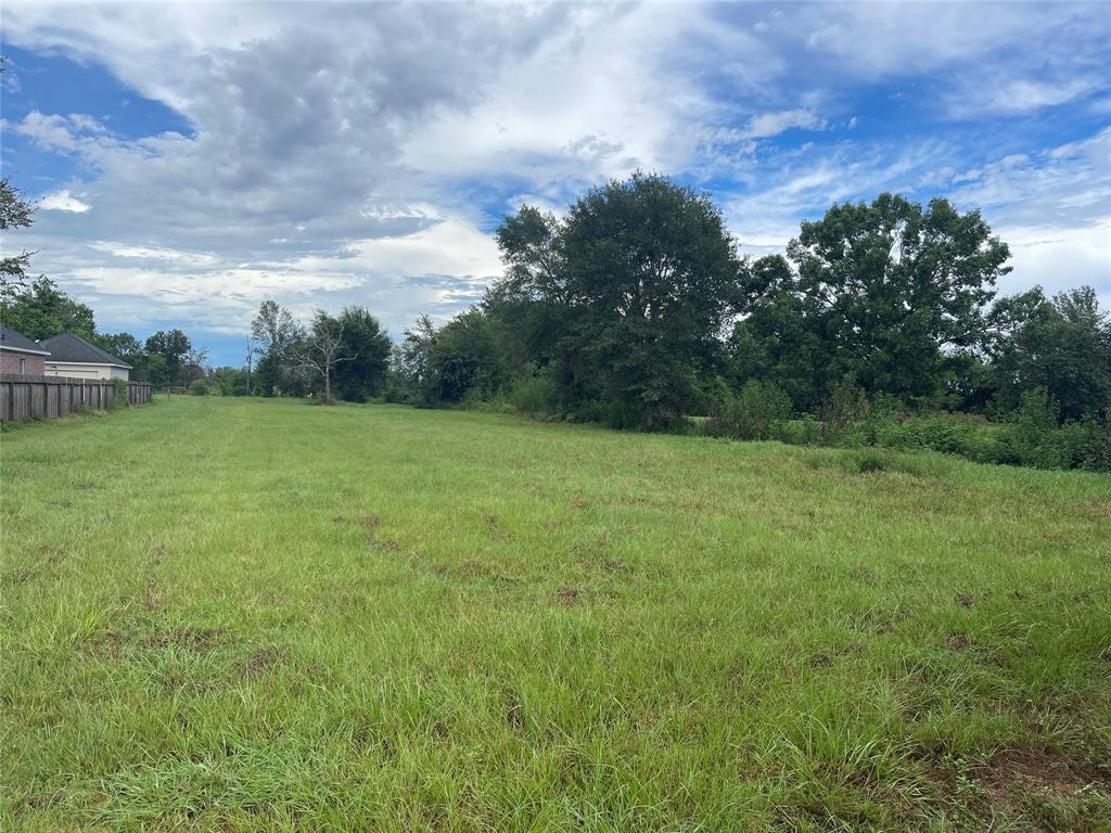 a view of a field of grass and trees