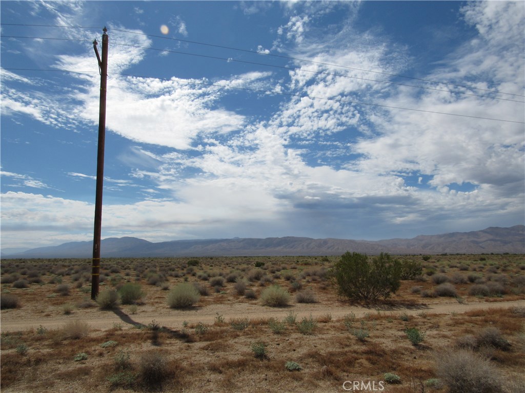 a view of a yard