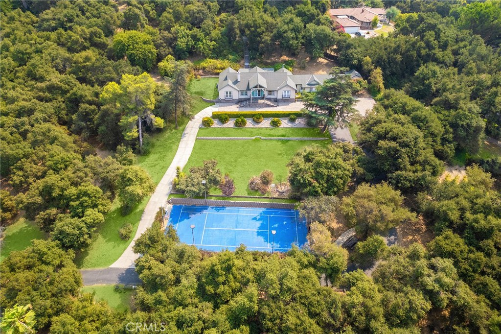 a view of a big yard with large trees