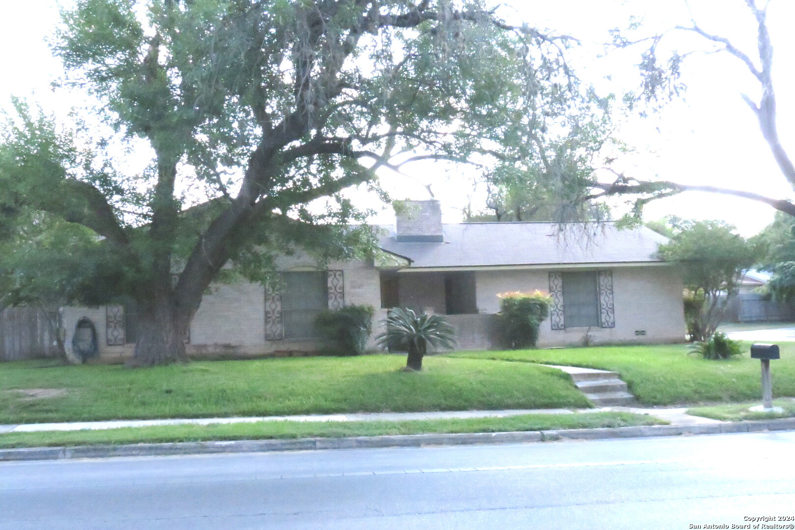 a front view of a house with a yard and a large tree