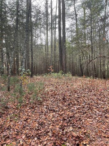 $50,000 | 50 Mountain Escape Drive | Green River Township - Henderson County