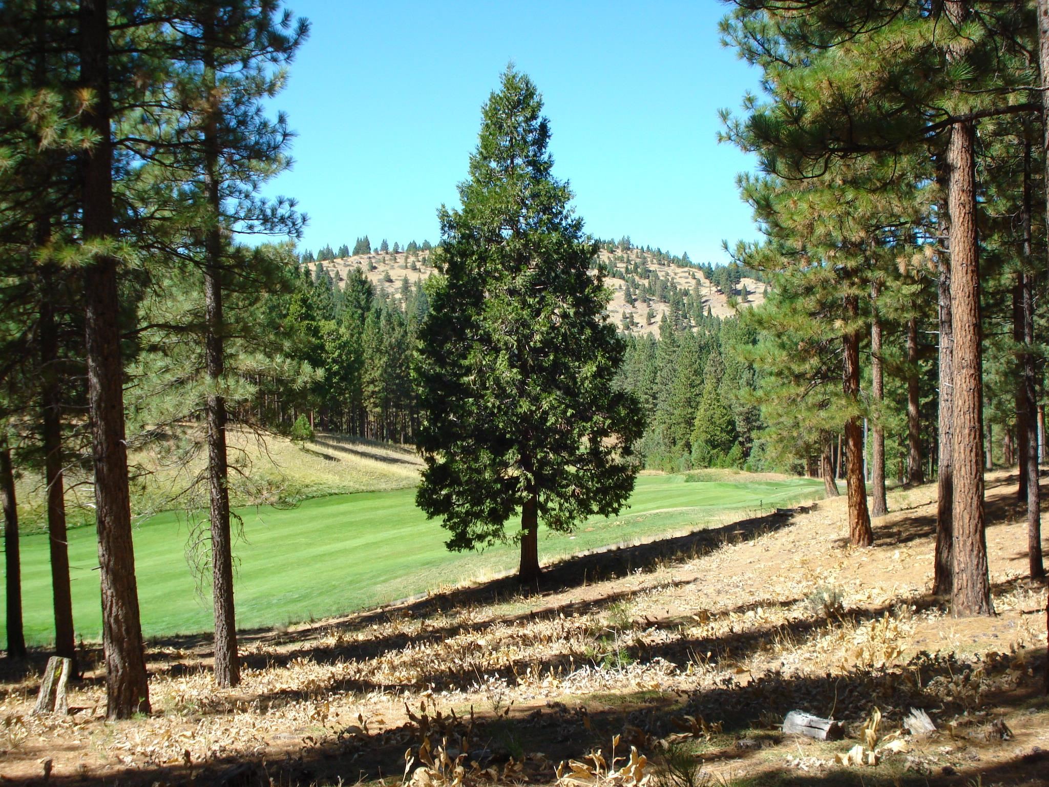 a view of a park