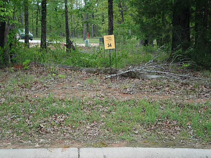 a view of a back yard