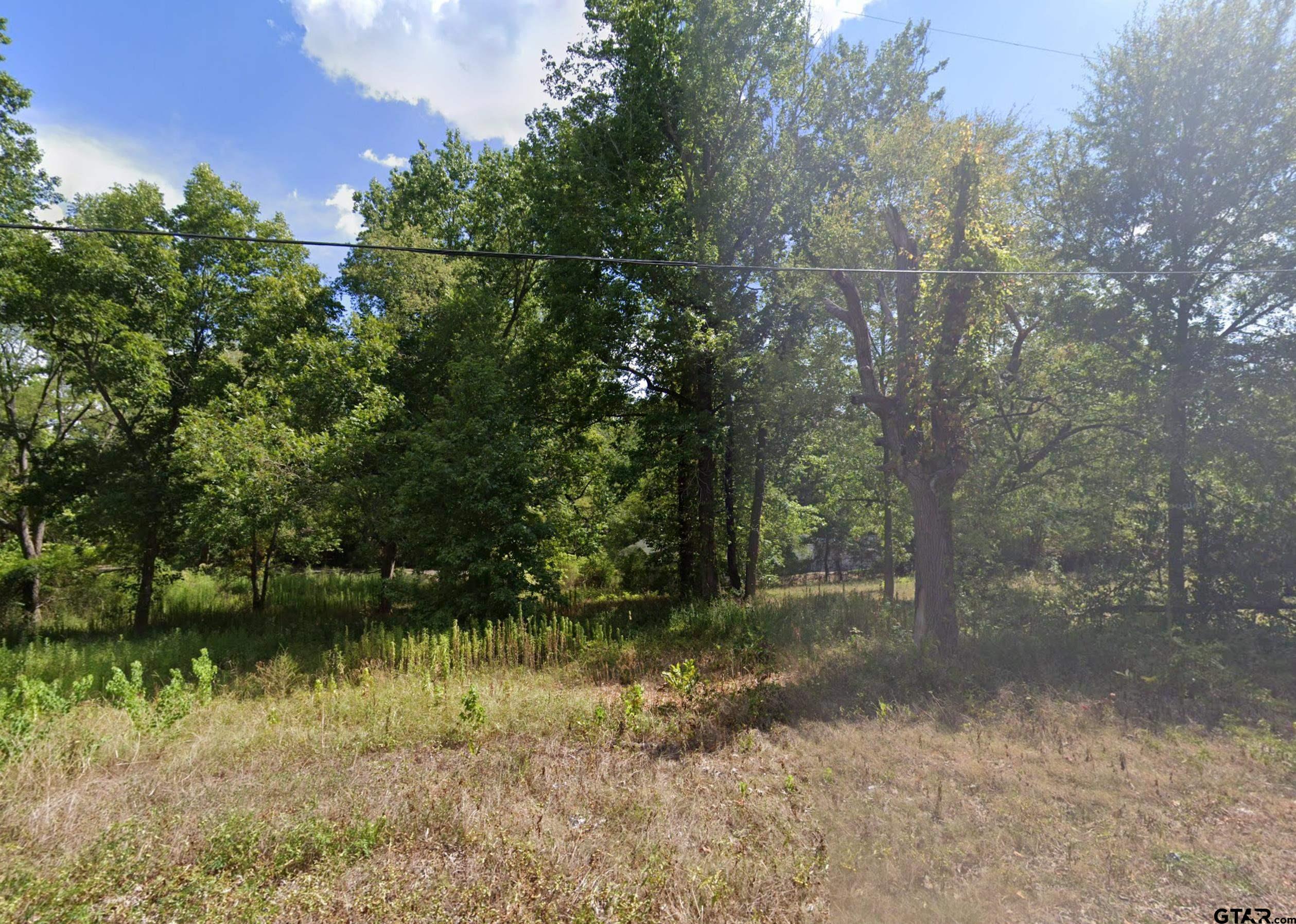 a view of lake background with lots of trees