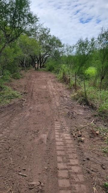 a view of a dry yard with trees in the background