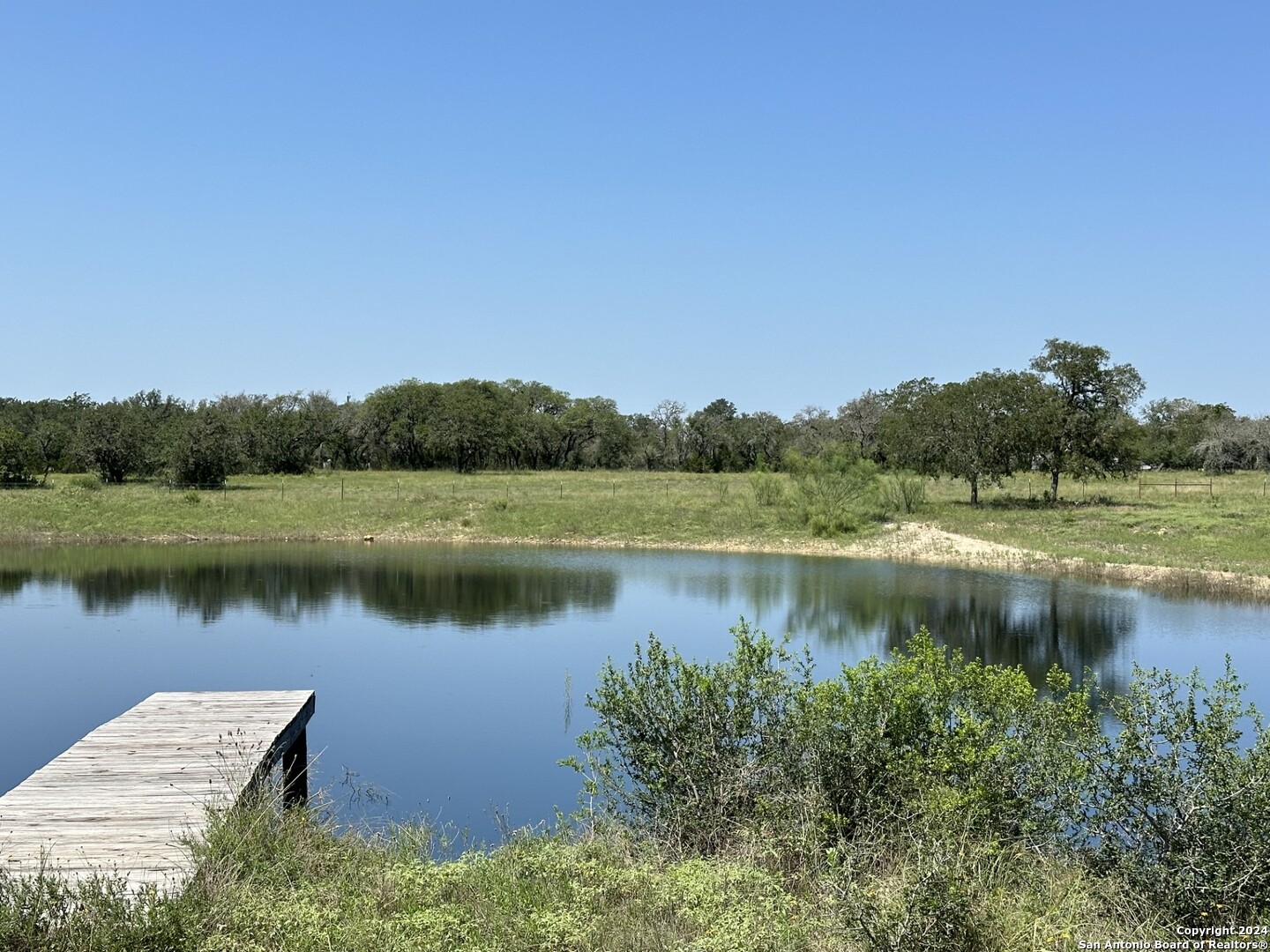 a view of a lake in front of forest