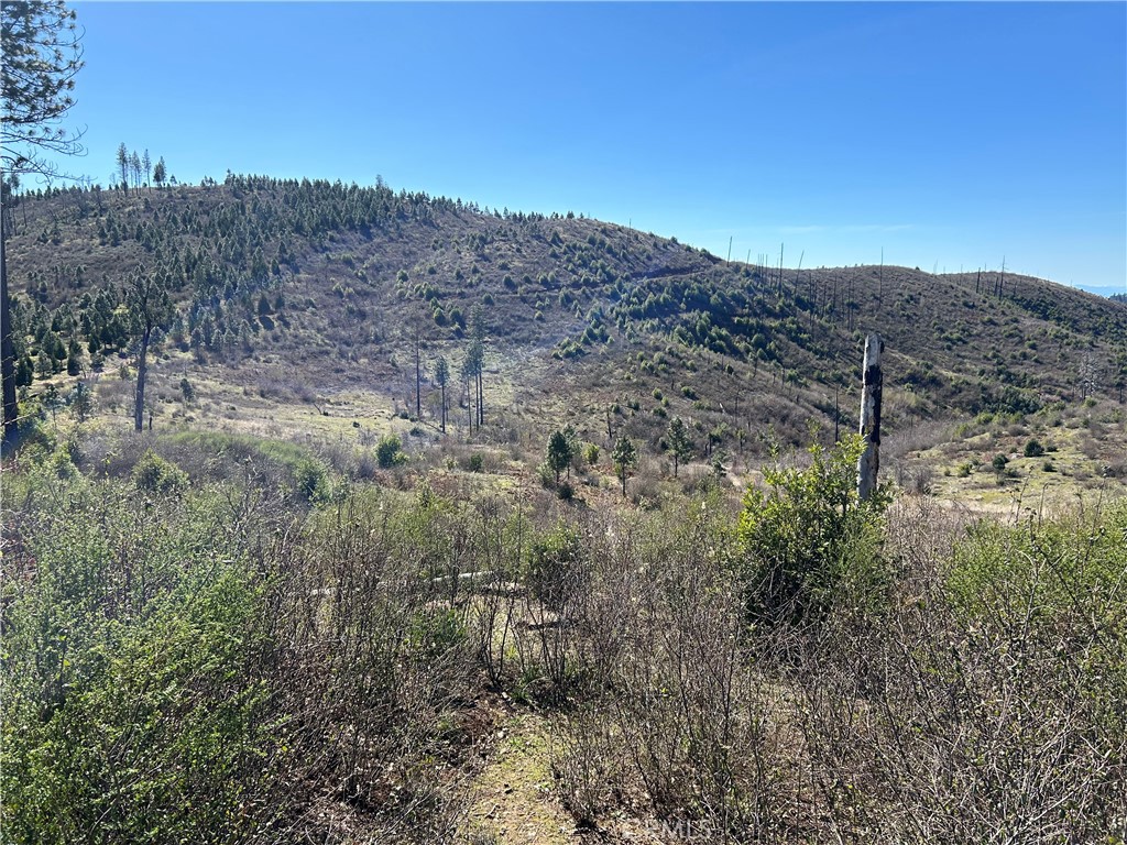 a view of a dry field