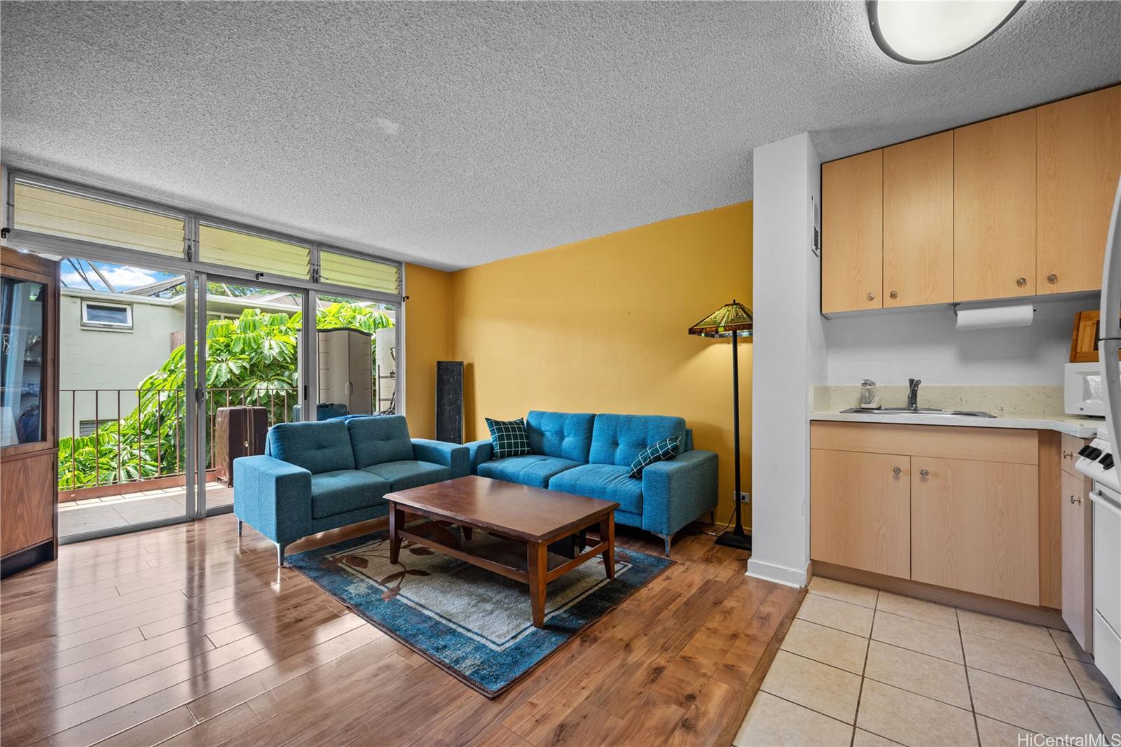 spacious living room area with lanai