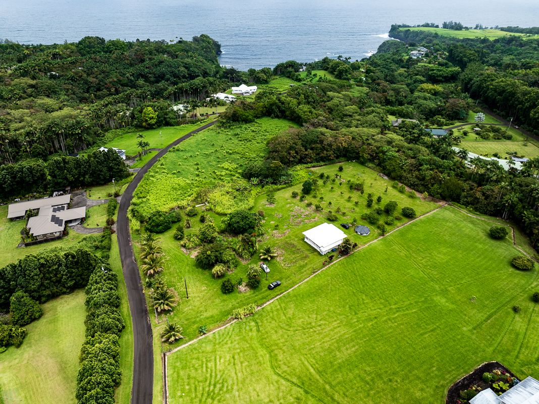 a view of a large yard with large tree